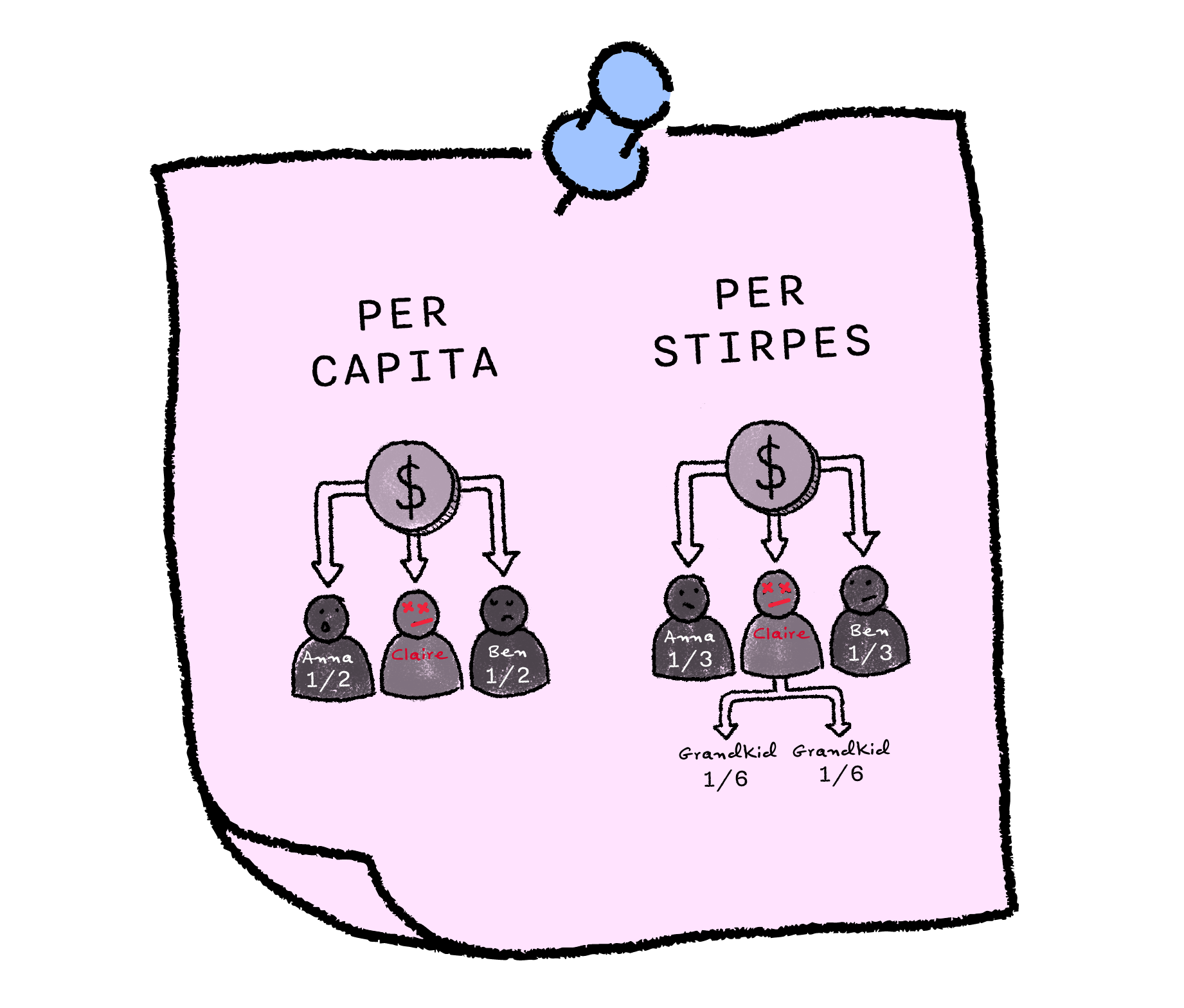 Per capita vs per stirpes estate distribution
